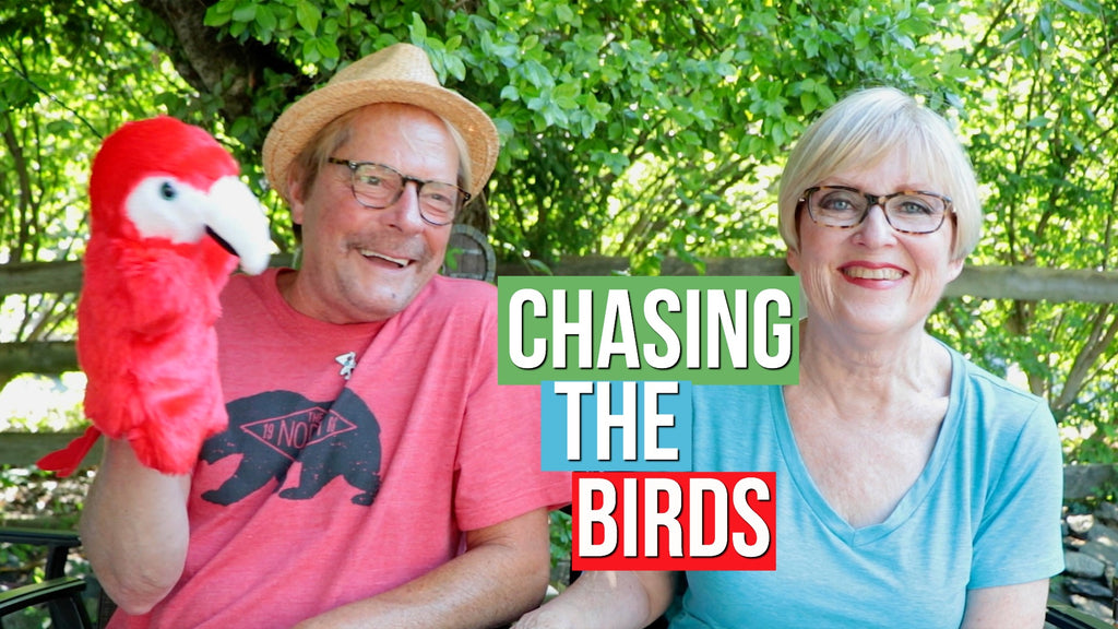 Episode 204--Chasing The Birds
